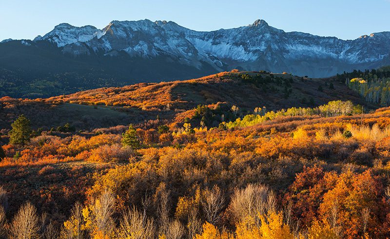 Fall leaves and mountains with snow